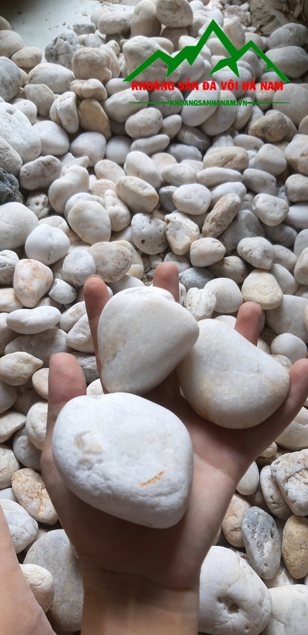 cac-mau-soi-trang-rai-san-vuon-duoc-yeu-thich (1)