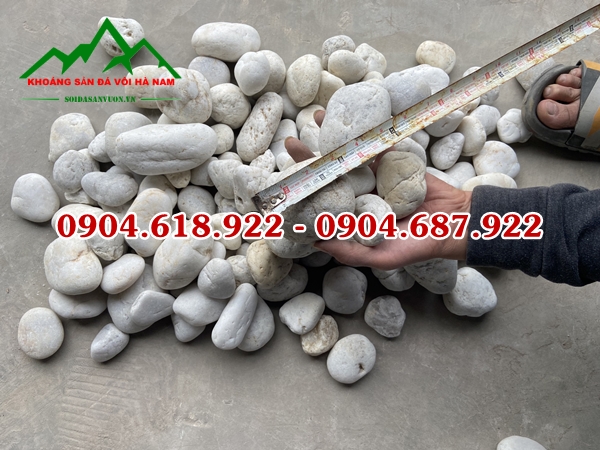 cac-mau-soi-trang-rai-san-vuon-duoc-yeu-thich (2)