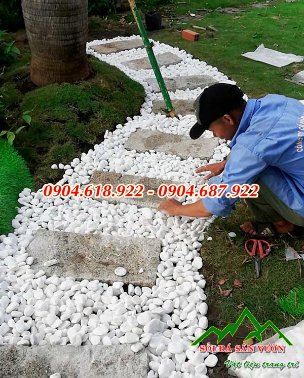 cac-mau-soi-trang-rai-san-vuon-duoc-yeu-thich (7)