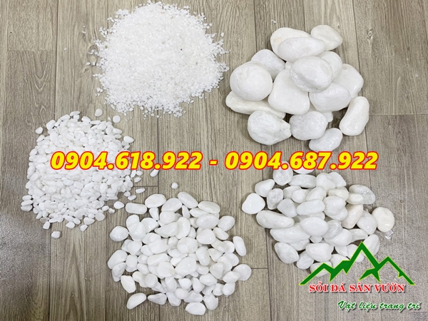 cac-mau-soi-trang-rai-san-vuon-duoc-yeu-thich (3)