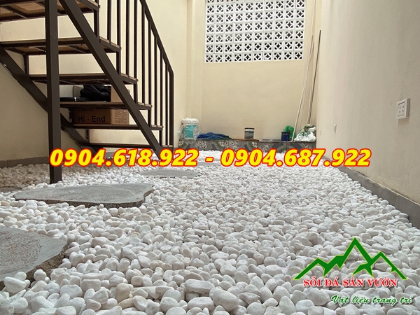 cac-mau-soi-trang-rai-san-vuon-duoc-yeu-thich (8)