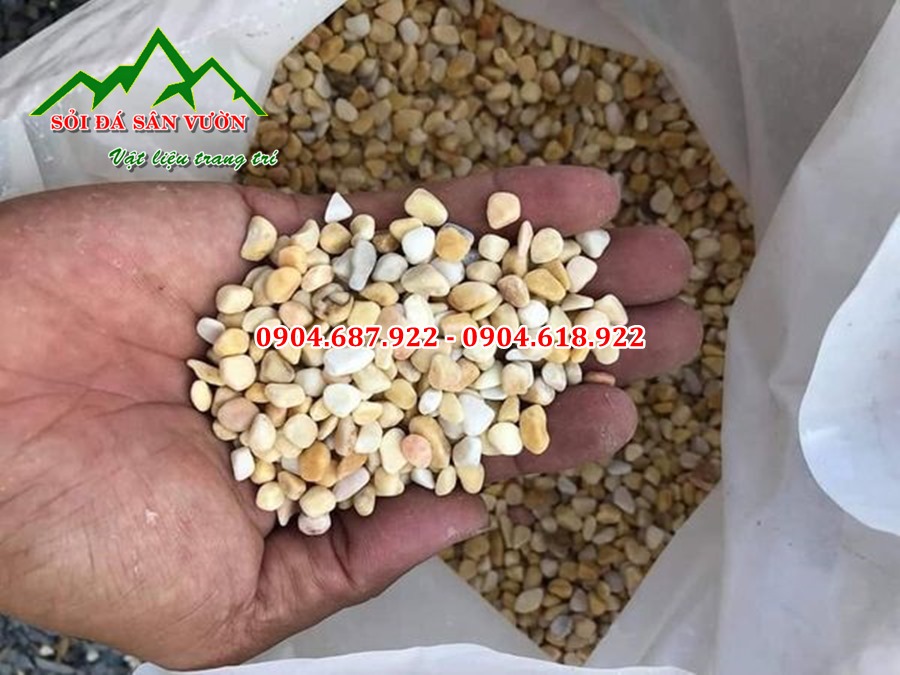 Tìm mua sỏi vàng quay