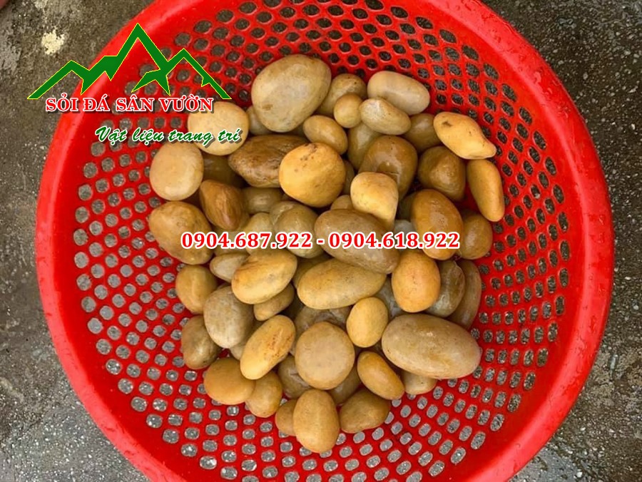 bán sỏi vàng tự nhiên tại hà nội