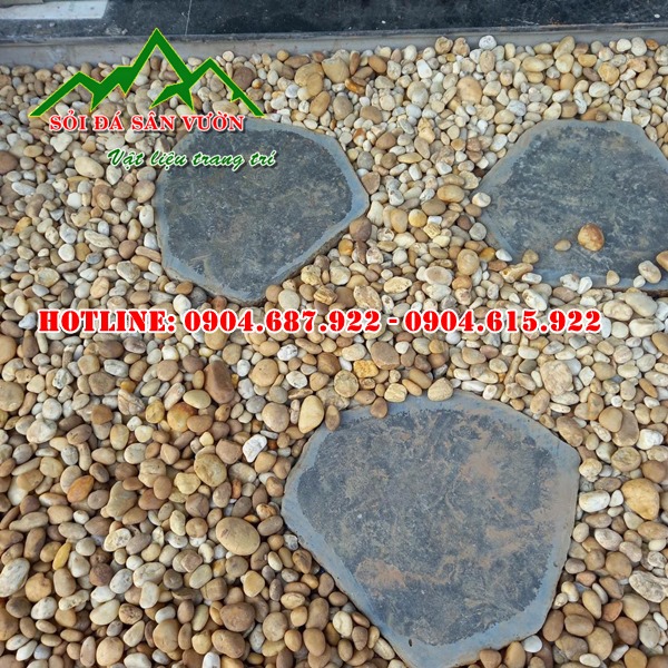bán sỏi vàng rải sân vườn