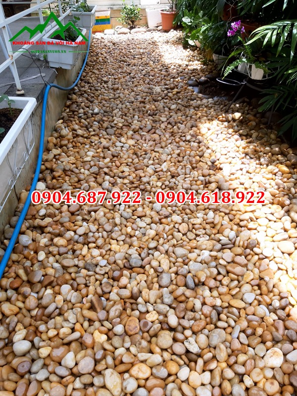 mẫu sỏi rải sân vườn