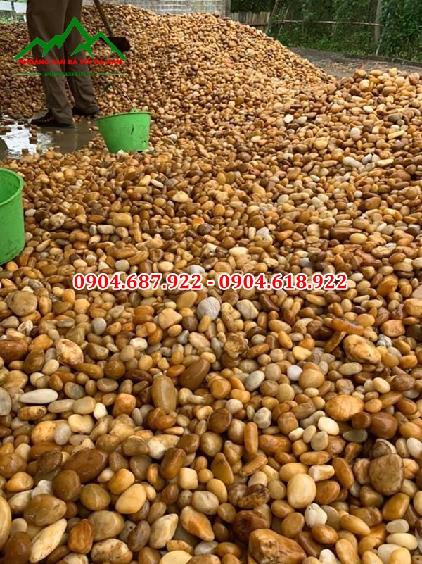 sản xuất phân phối sỏi vàng
