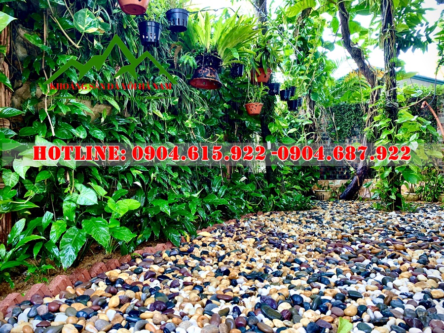 soi-trang-tri-nha-vuon