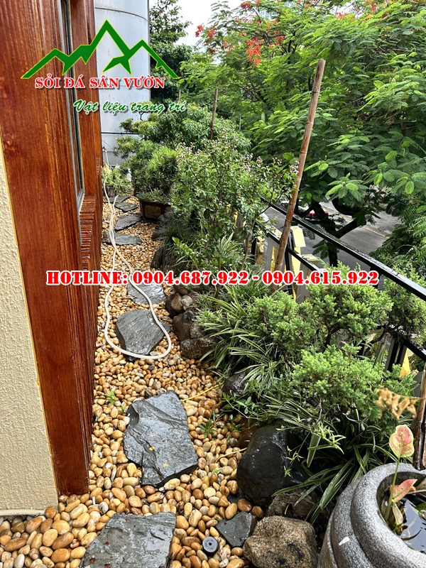 Sỏi vàng rải lối đi sân vườn