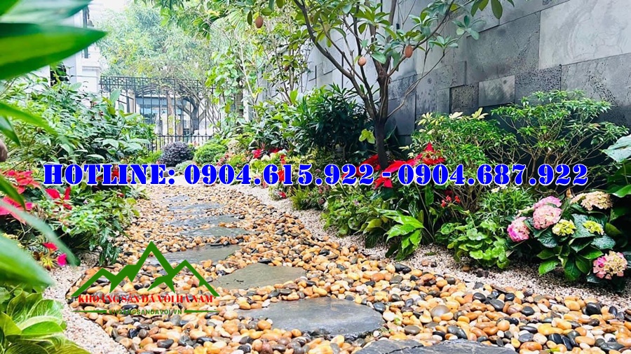 da-buoc-dao-loi-di-san-vuon