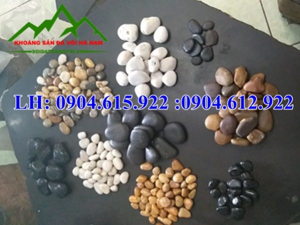 soi-trang-tri-nha-vuon