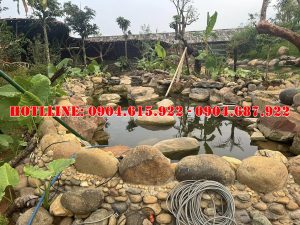 soi-da-cuoi-trang-tri