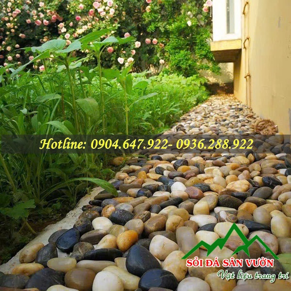 Cách bày trí Sỏi tiểu cảnh