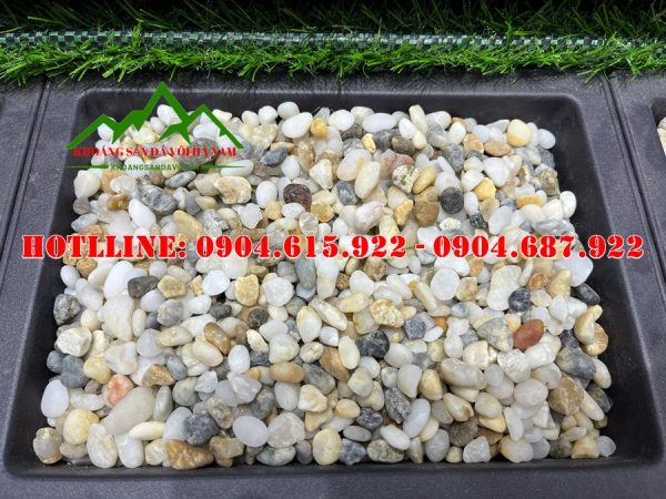 soi-bien-da-sac-tu-nhien