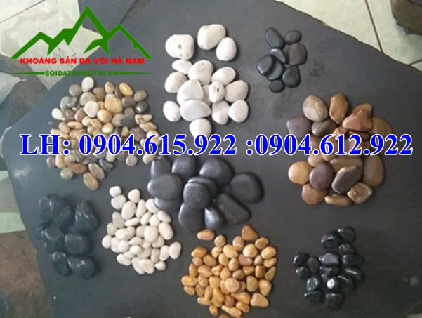 bao-gia-soi-trang-tri-ha-noi