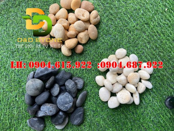 bao-gia-soi-trang-tri-ha-noi