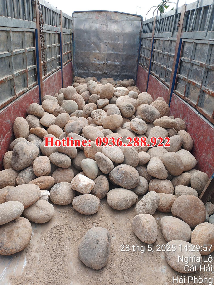 cuoi-tu-nhien-trang-tri-ho-ca-koi-tieu-canh-san-vuon