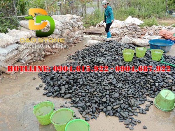 soi-mau-den-tu-nhien