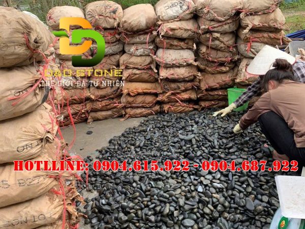 soi-mau-den-tu-nhien