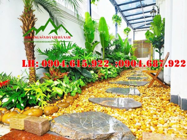 soi-mau-vang-tu-nhien