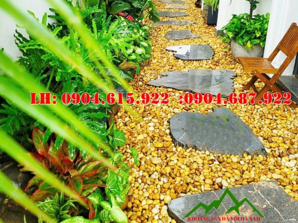 soi-mau-vang-tu-nhien