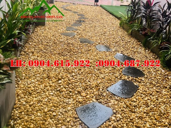 soi-mau-vang-tu-nhien