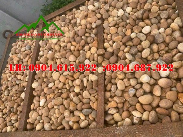 soi-mau-vang-tu-nhien