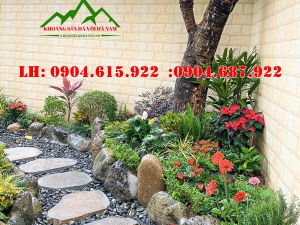 mua-soi-trang-trí-san-vuon