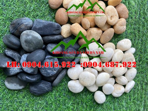 mua-soi-trang-trí-san-vuon