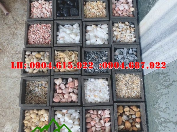 mua-soi-trang-trí-san-vuon