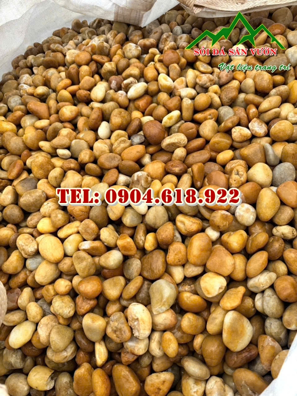 dia-chi-ban-soi-vang-tu-nhien-trang-tri (2)