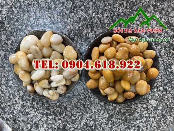 dia-chi-ban-soi-vang-tu-nhien-trang-tri (1)