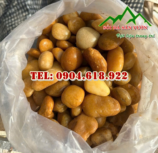 dia-chi-ban-soi-vang-tu-nhien-trang-tri (3)