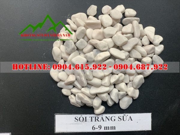 soi-mau-trang-trang-tri-san-vuon
