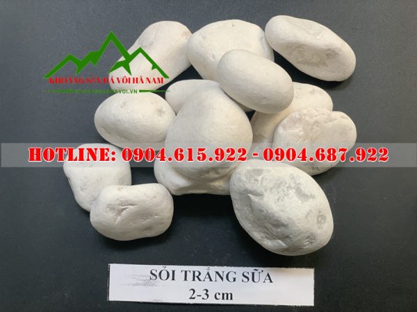 soi-mau-trang-trang-tri-san-vuon