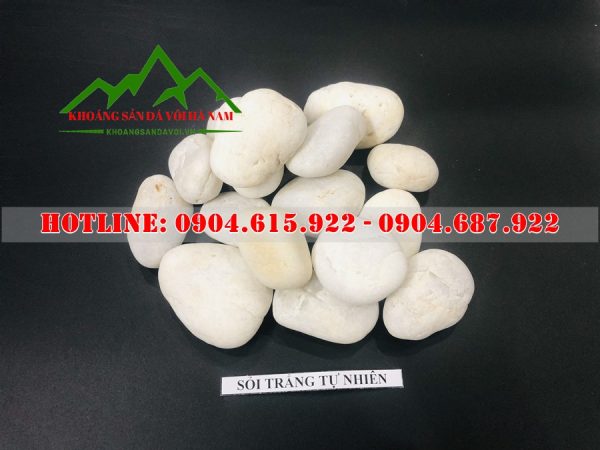 soi-mau-trang-trang-tri-san-vuon