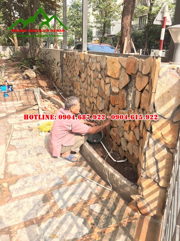 phân phối đá rối vàng tươi